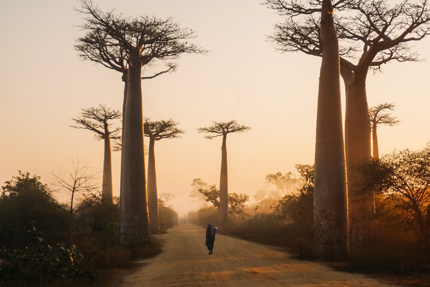 How Volunteering Changes Your Perspective On Conservation